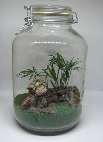 Diy flaschengarten set - flaschengarten, 2