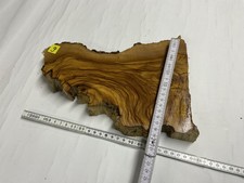 Olivenholz - Stamm -