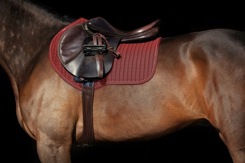 Horseware rambo micklem - horseware,