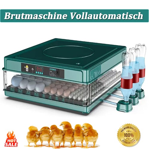 Eier vollautomatische - eier,