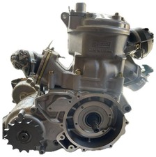 Rotax Motor 250ccm