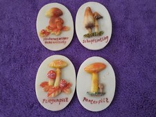 NEU!Deko Bilder Pilze Klein