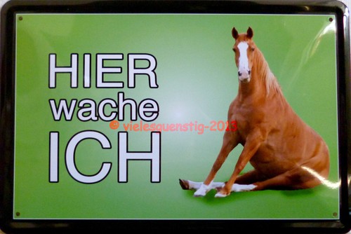 Blechschild 20x30 schild - blechschild,
