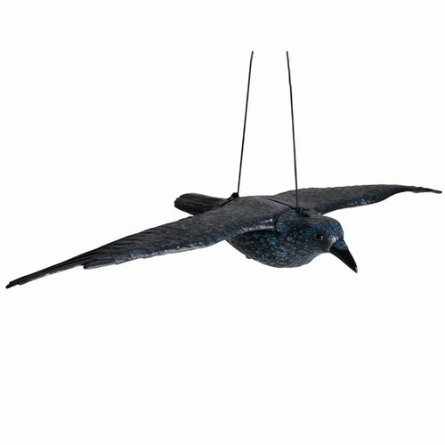 Rabe fliegend schwarz - 82, |