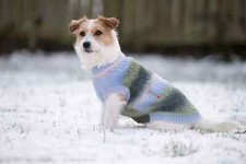 Hundepullover Wolters