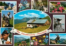 Alpe Schrattenwang Oberstdorf Allgaeu Berghuette Alpenblumen Trachten Postkarte