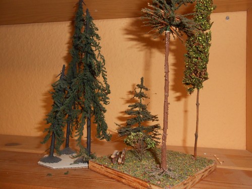 Baum konvolut ok s foto - baum, .ok