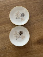 Rosenthal schattenrose - rosenthal,