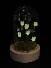 LED Glasglocke mit Tulpen –