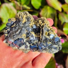 🔥Video🌈Top Galenit