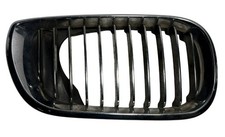 Kühlergrill seitlich R
