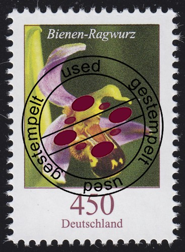 3191 blume bienen ragwurz - 3191, bienen-ragwurz
