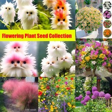 Frische Blumensamen Von Garden