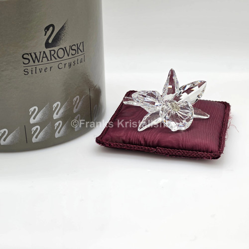 Swarovski orchidee hellgelb - swarovski,