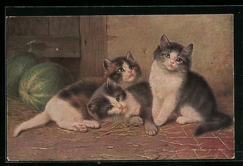 Künstler drei junge katzen - drei,