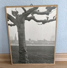 Bild Foto auf Holz Leinwand Düsseldorf Rhein Schwarz Weiß Retro vintage