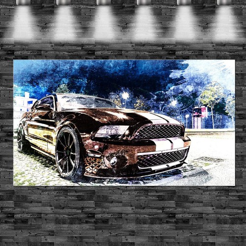 Xxl shelby 500 - shelby, gt