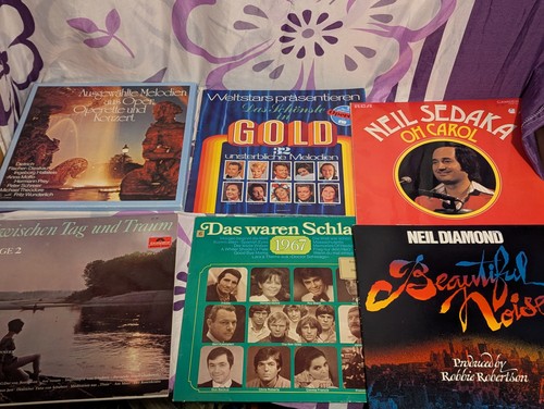 Großes schallplatten konvolut - großes,