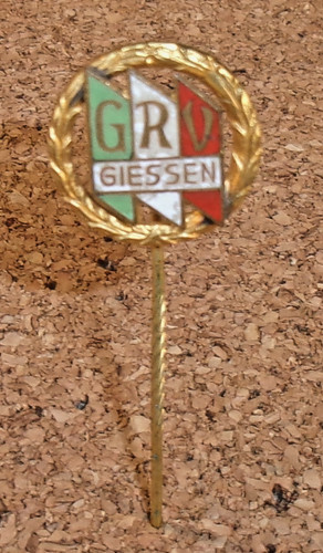 Sport anstecknadel grv - sport,