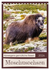Moschusochsen norwegens - moschusochsen,