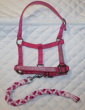 STRASS MINISHETTY