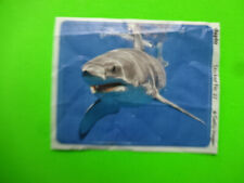 Hanuta Klebebildchen / Ozeane der Welt / Sticker Bild Nr.27 / Weißer Hai