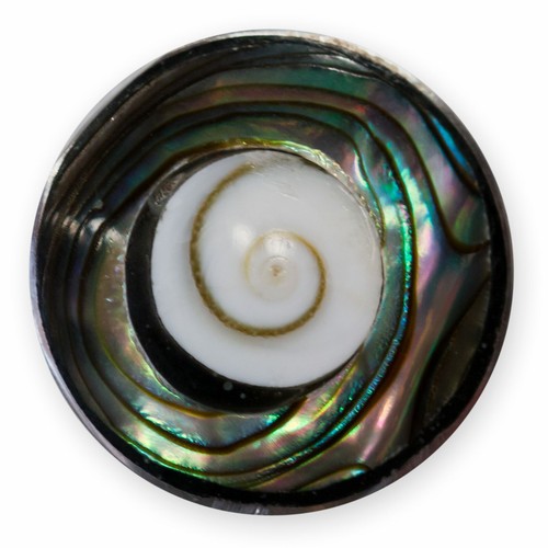 Ohrstecker muschel perlmutt - ohrstecker,