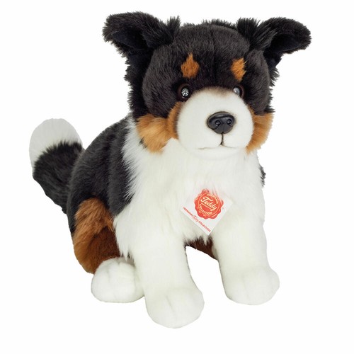 Teddy hermann border - border, collie