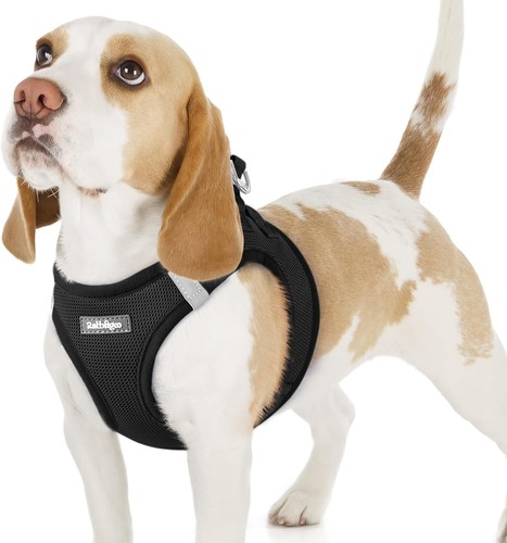 Leichtes mesh hundegeschirr - leichtes, mesh-hundegeschirr