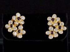 Schöne Rubin Brillant Blüten