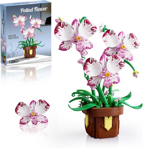 Orchidee bausteine blume - bausteine,