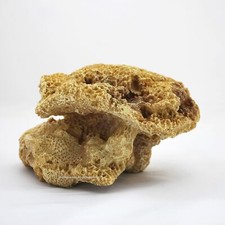 Riffgestein 21x17x13 - riffgestein,21x17x13, cm