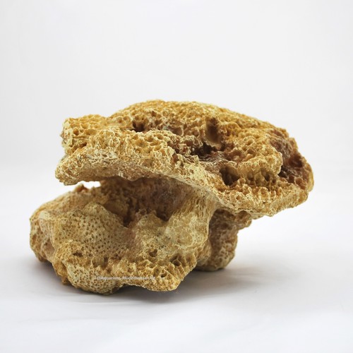 Riffgestein 21x17x13 - riffgestein,21x17x13, cm