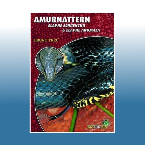 Amurnattern elaphe - amurnattern,