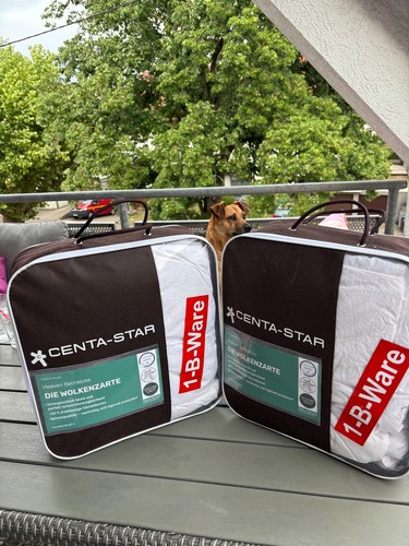 Centa star heaven - centa-star,