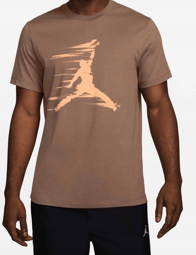 Fz1919 223 jordan - t, shirt