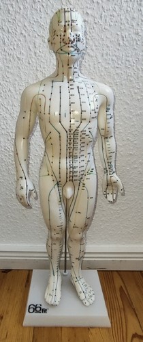Tcm puppe akupunktur - /,