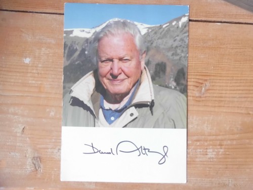 Original david attenborough - original,