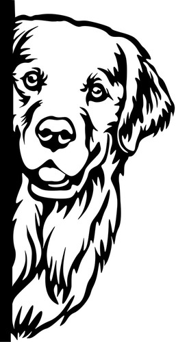 Golden retriever aufkleber - golden,