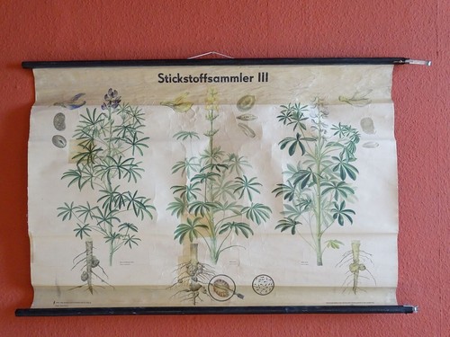 Ddr schulwandkarte schulkarte - schulwandkarte,