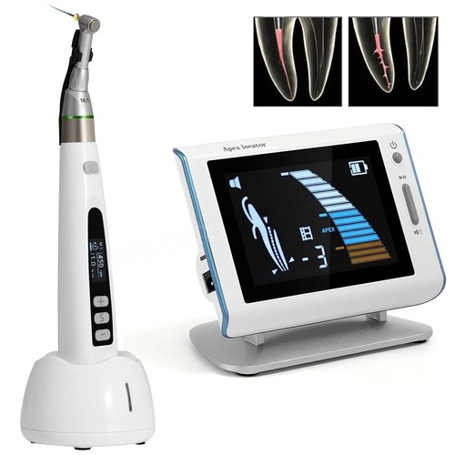 Dental endo apex locator - locator, root