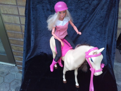 Barbie puppebarbie reiterin - barbie,