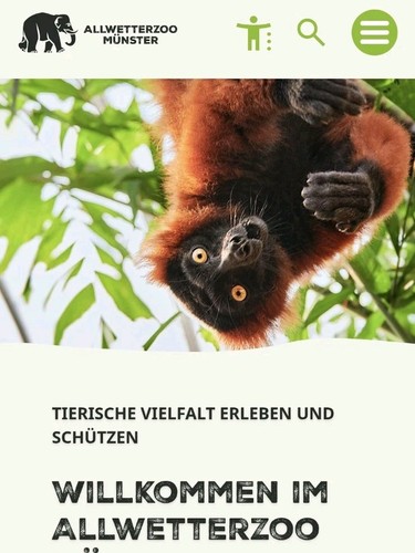 Allwetterzoo münster - allwetterzoo,