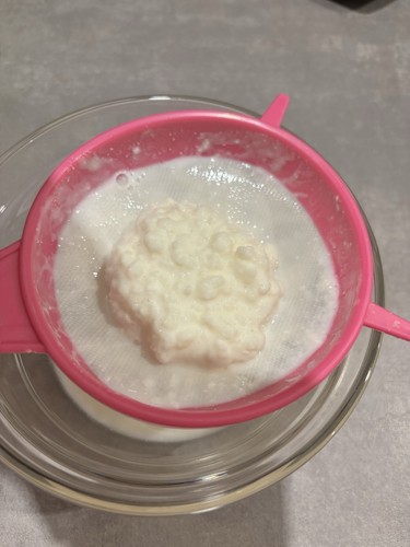 Kefirpilz voll kefir - 1,