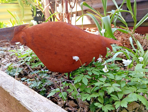 Henne huhn metall zum - huhn, stellen