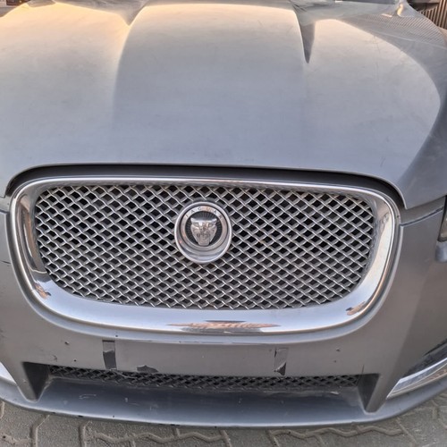 Scheibenschild jaguar - scheibenschild,