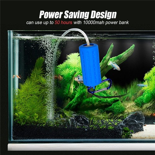 Mini aquarium fisch - aquarium, tank