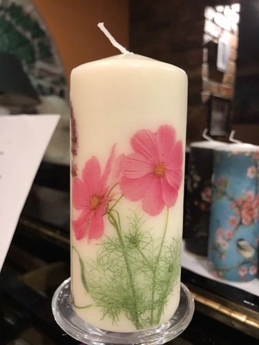 Blumen schmetterlinge - blumen,