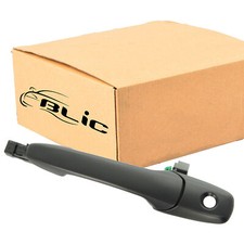 BLIC 6010-14-037401P Türgriff