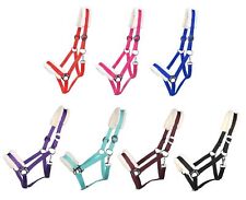 Solides Pferdehalfter gepolstert und verstellbar Größe Mini Shetty bis Full